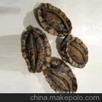 【青島直銷 海鮮 鮑魚 海鮮批發(fā) 鮑魚批發(fā)【圖】】價格,廠家,圖片,鮮活/冷凍水產,青島旺福魚鄉(xiāng)水產品-